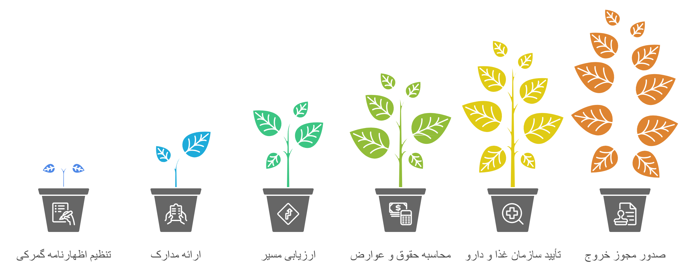 فرآیند ترخیص تجهیزات پزشکی از گمرک به‌صورت گام‌به‌گام